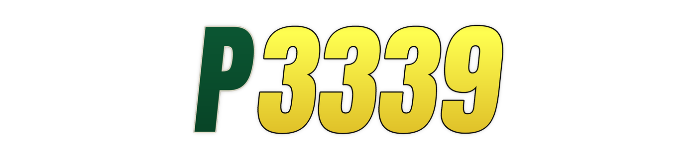 p3339 Logo